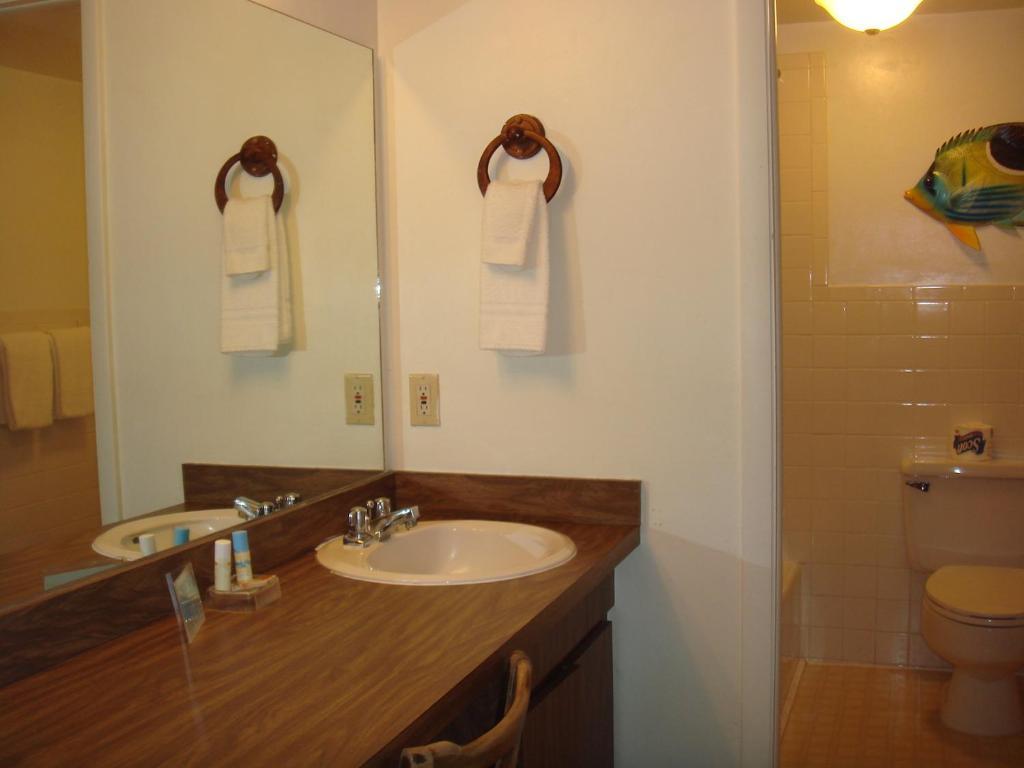 פורט מיירס ביץ' Beach Shell Inn חדר תמונה